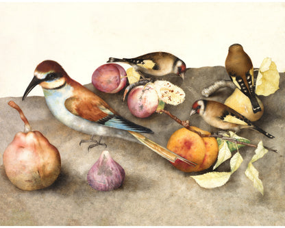 Still Life with Birds and Fruit | 1650