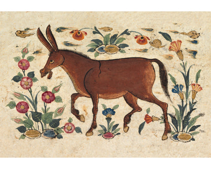 Donkey, from a Persian Manuscript | 15th c.
