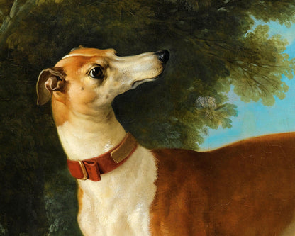 Greyhound in a Landscape | 1746