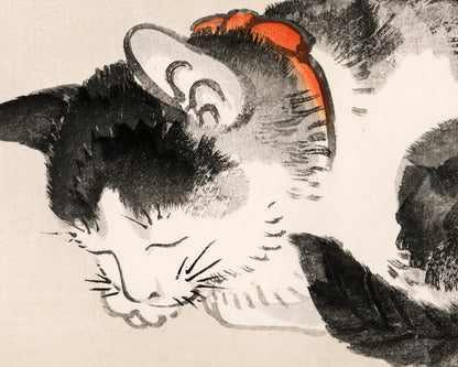 Sleeping Cat | 19th Century