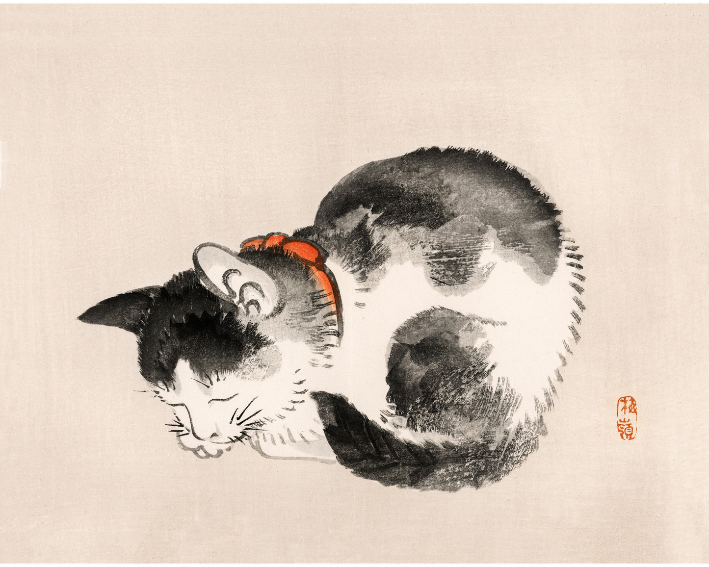 Sleeping Cat | 19th Century