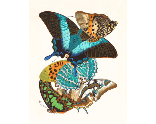 Butterflies | 1925