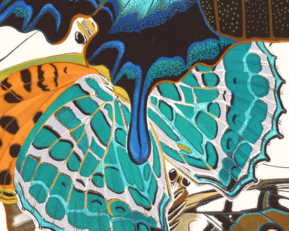Butterflies | 1925