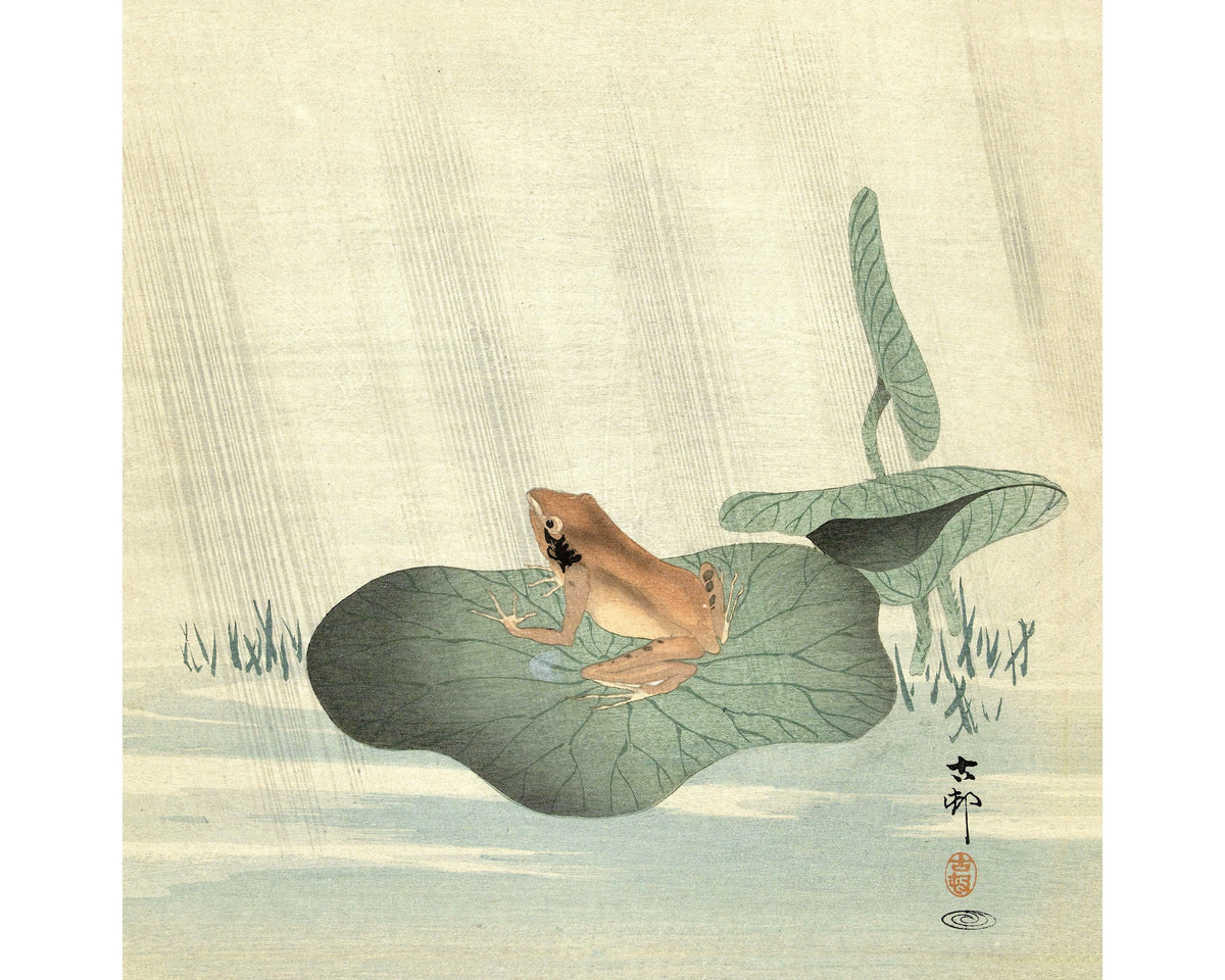 Frog on a Lotus Leaf | 1900