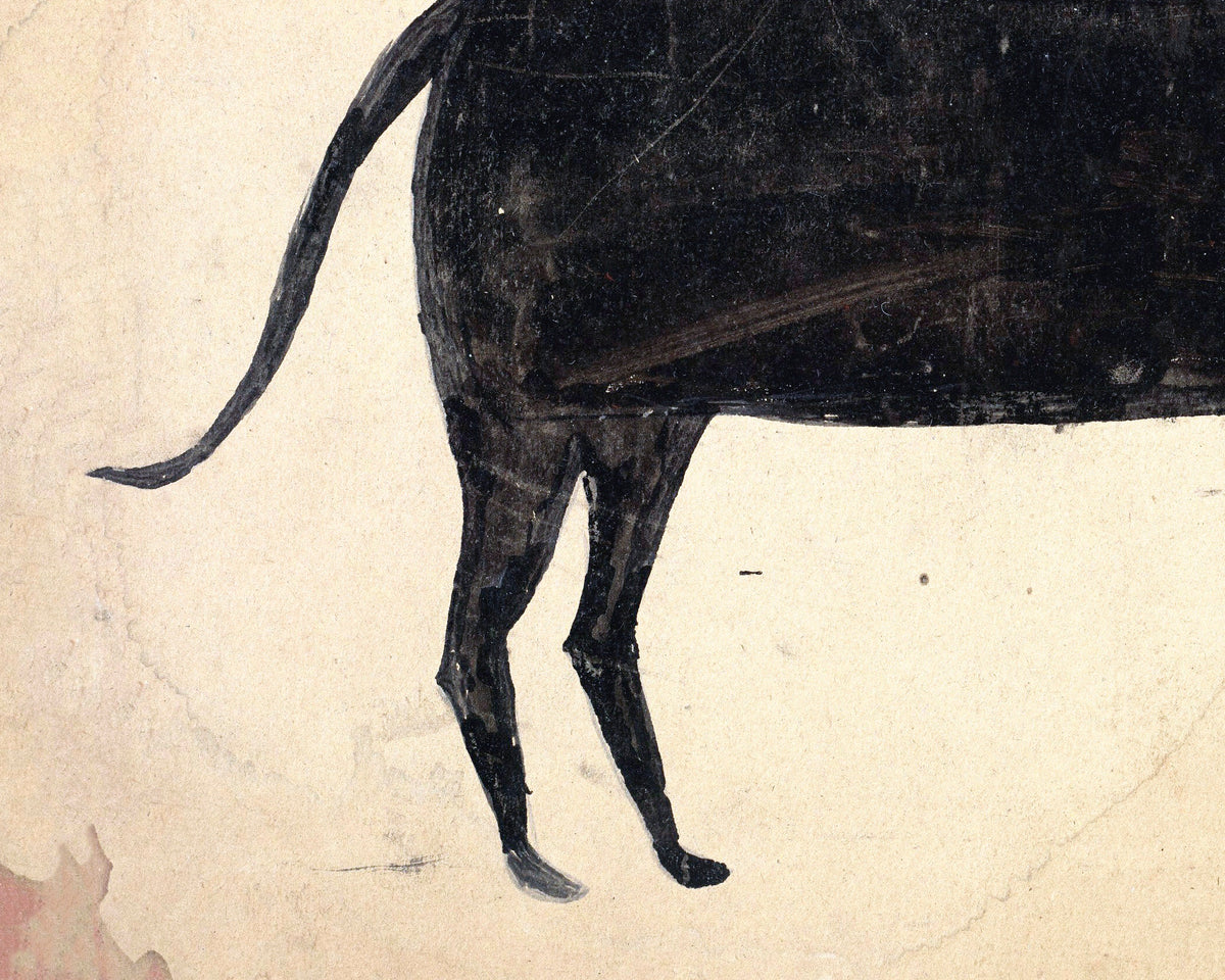 Cat with Brown Jaw | 20th Century