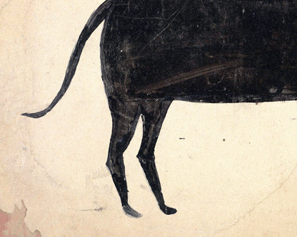 Cat with Brown Jaw | 20th Century