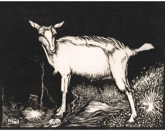 White Goat | 1915