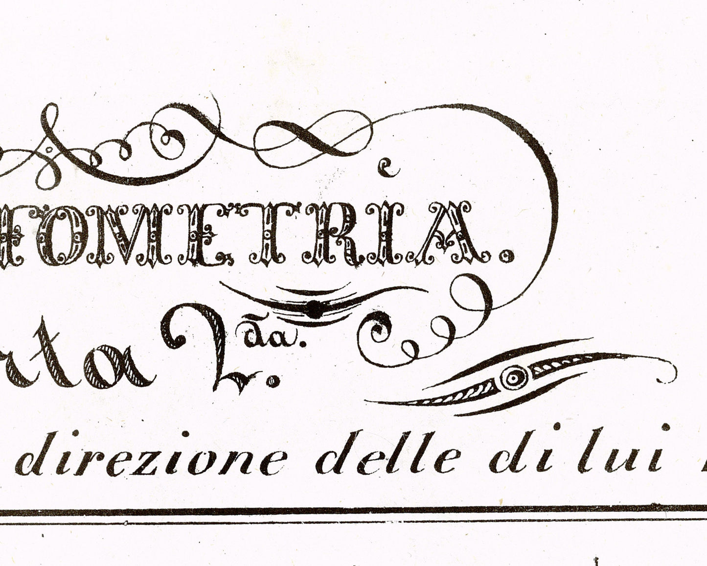 Hippographyometry: Partial division of the horse and direction of its limbs | 1832