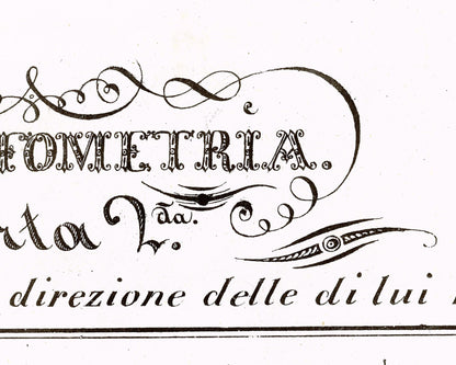 Hippographyometry: Partial division of the horse and direction of its limbs | 1832