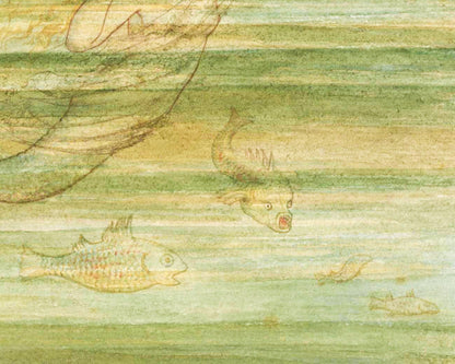 Mermaid under the Sea | 20th Century