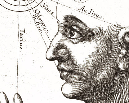 Triple Vision of the Mind | 1619