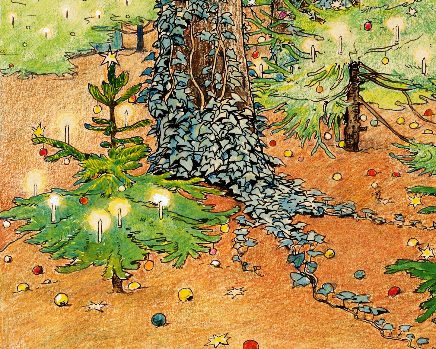 Here we are in the Christmas Tree Forest | 1898