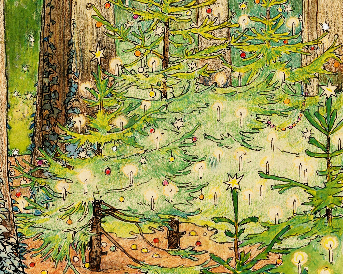 Here we are in the Christmas Tree Forest | 1898