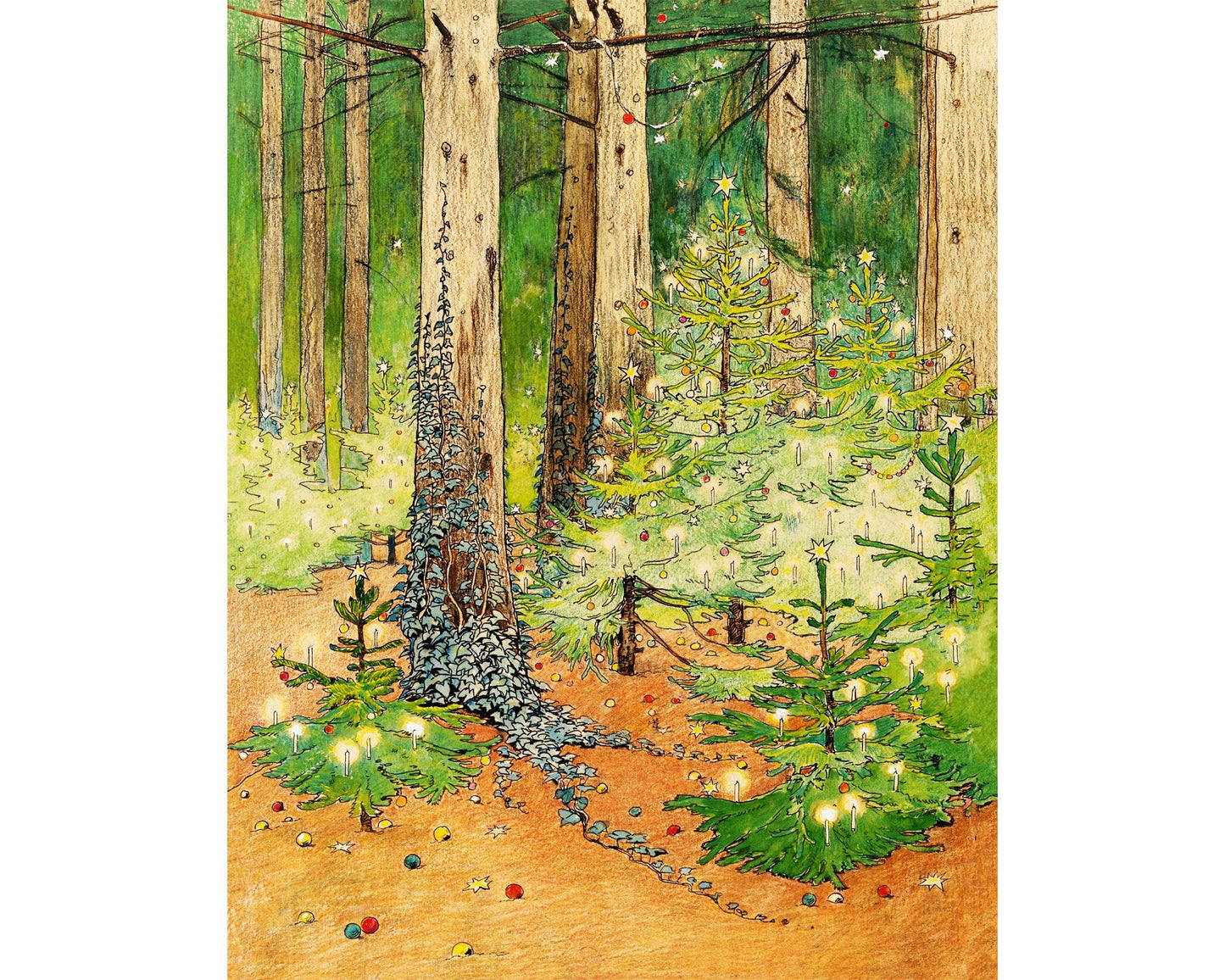 Here we are in the Christmas Tree Forest | 1898