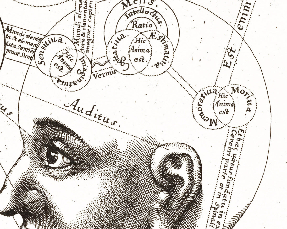 Triple Vision of the Mind | 1619