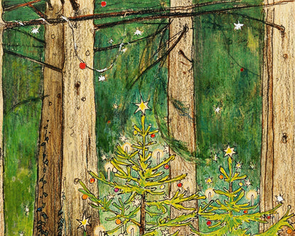 Here we are in the Christmas Tree Forest | 1898