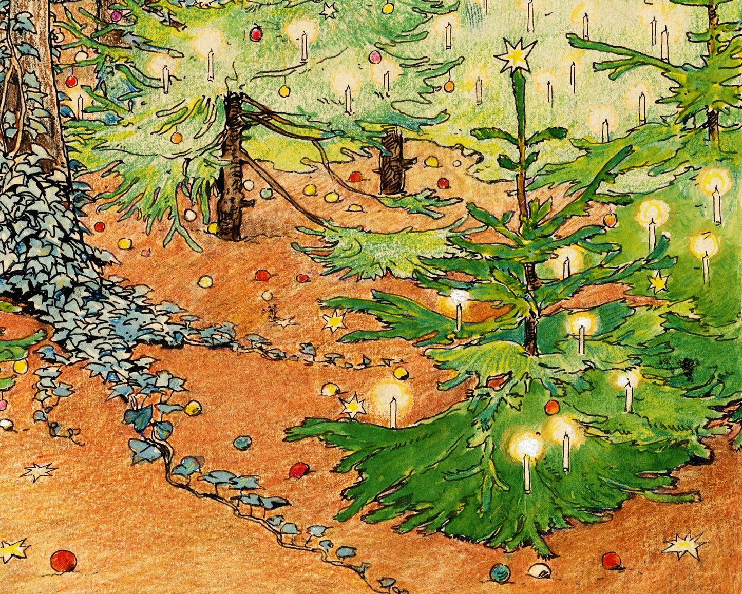 Here we are in the Christmas Tree Forest | 1898