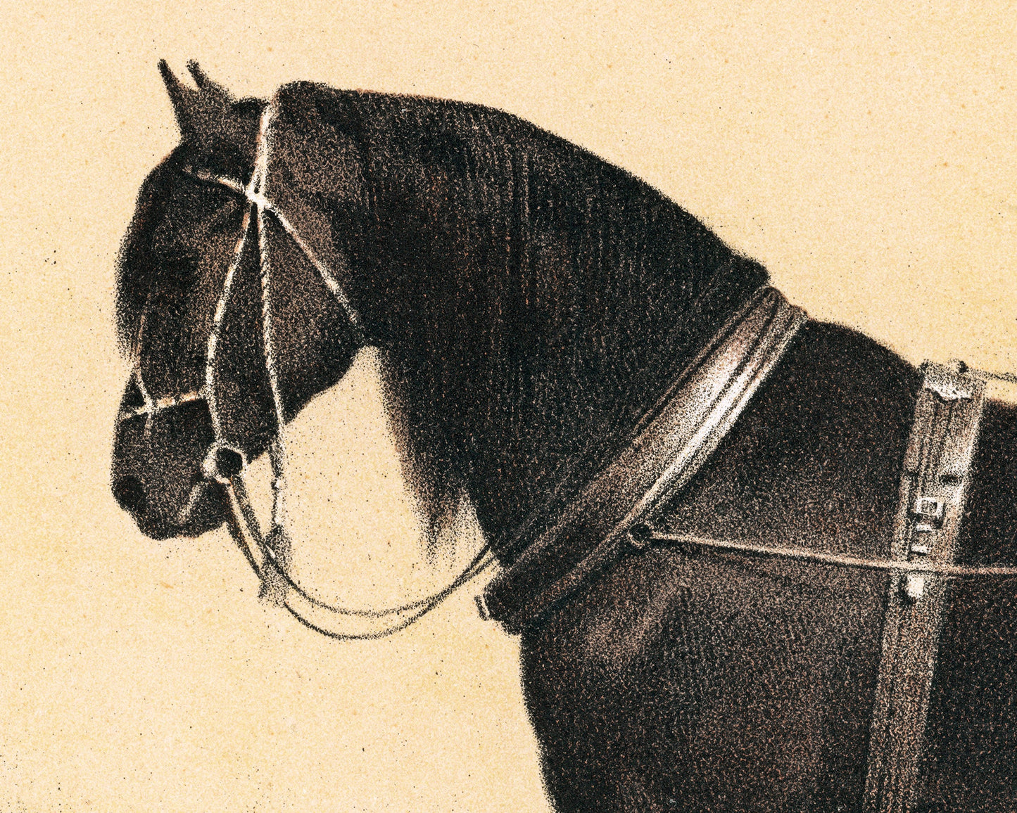 Horse and Dog Friends | Volkers | 1880