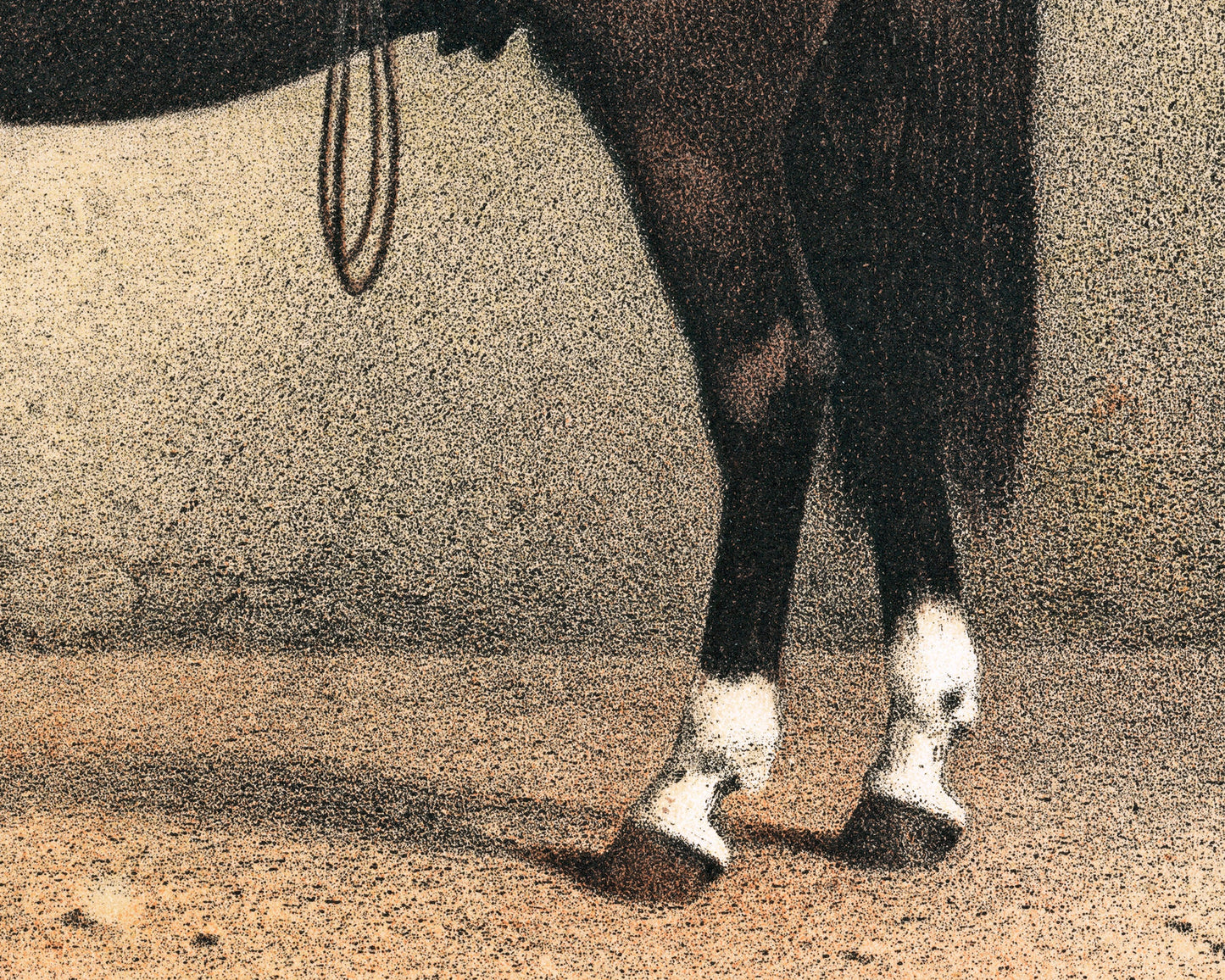 Horse and Dog Friends | Volkers | 1880