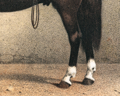 Horse and Dog Friends | Volkers | 1880