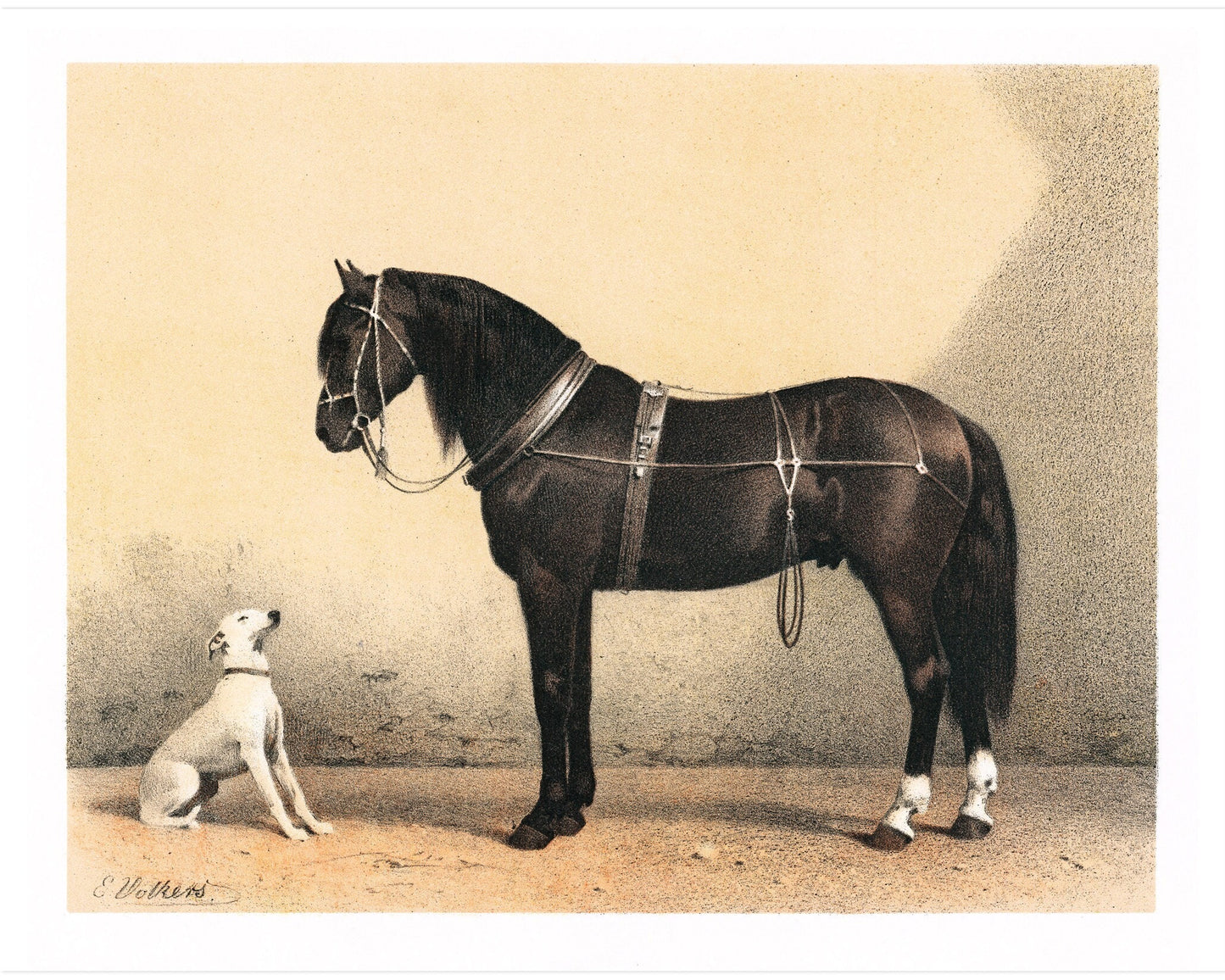 Horse and Dog Friends | Volkers | 1880
