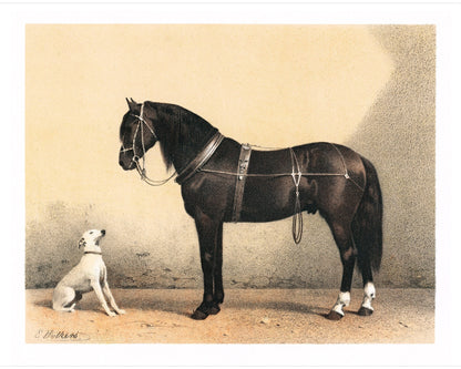 Horse and Dog Friends | Volkers | 1880