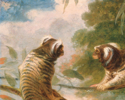 A Marmoset in 3 Attitudes | 1793