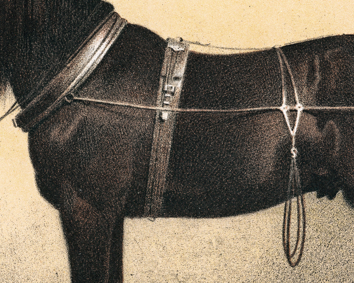 Horse and Dog Friends | Volkers | 1880