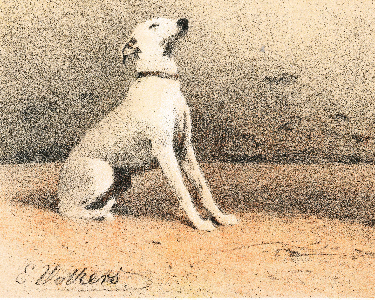 Horse and Dog Friends | Volkers | 1880