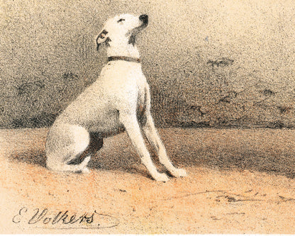 Horse and Dog Friends | Volkers | 1880
