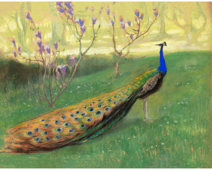 Peacock landscape | 20th century