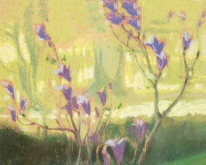Peacock landscape | 20th century