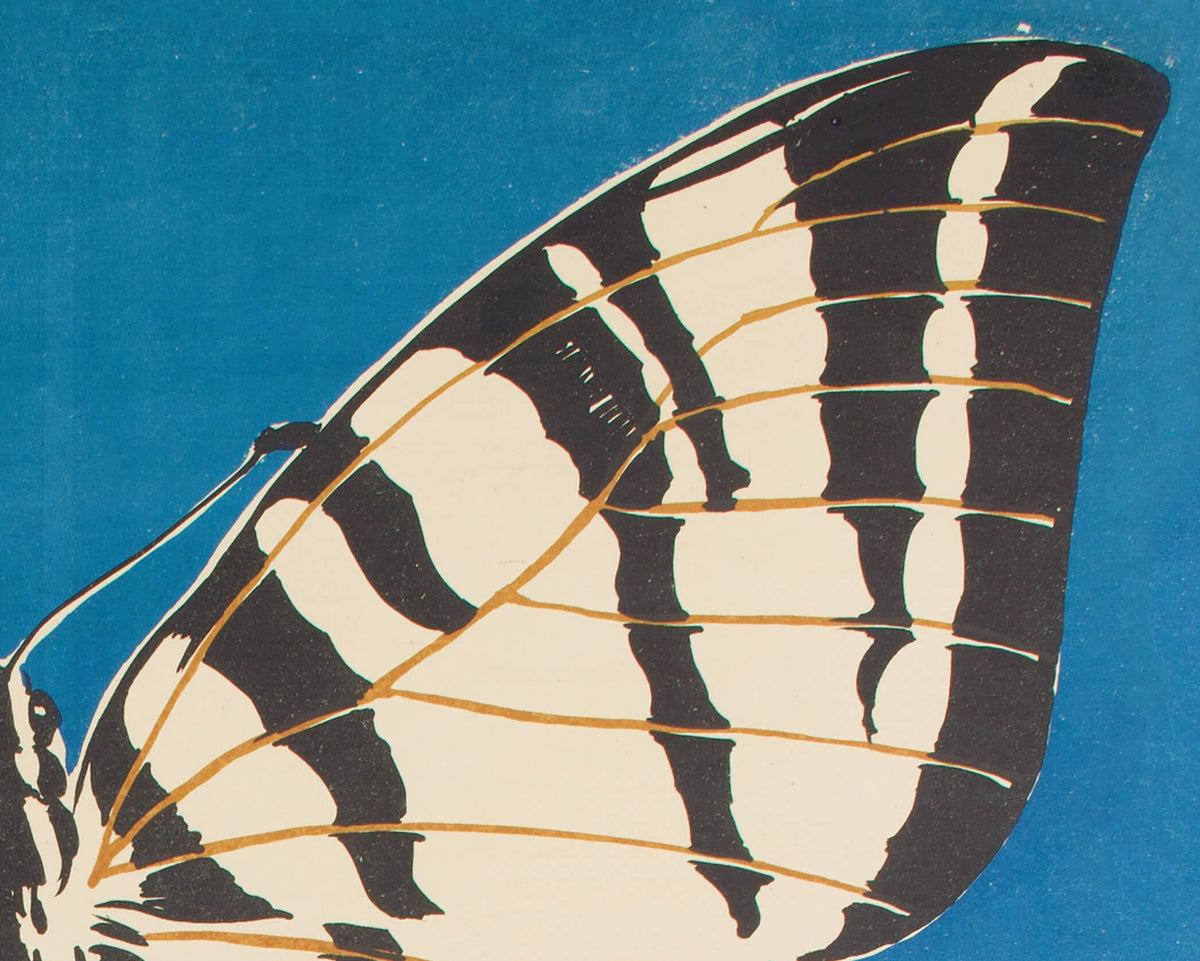 Butterfly on Blue | Debicki | 1903