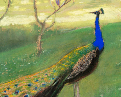 Peacock landscape | 20th century