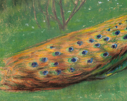 Peacock landscape | 20th century