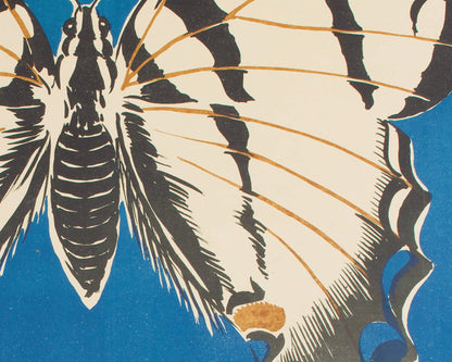 Butterfly on Blue | Debicki | 1903